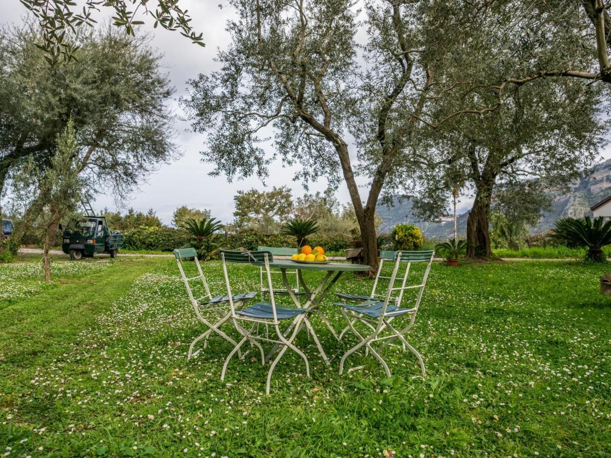 Villino Sally Sorrento Coast Piano di Sorrento Ngoại thất bức ảnh